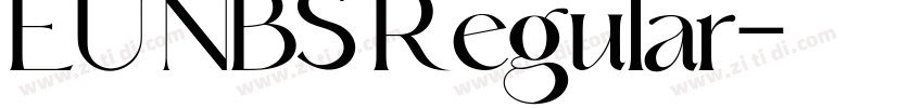 EU NBS Regular字体转换